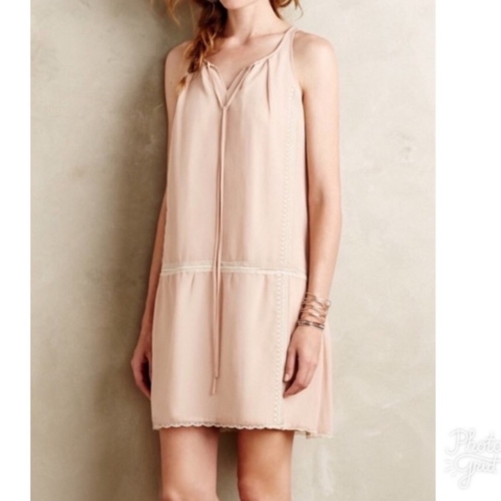 Ballet Pink Drop Waist Dress— Vineet Bahl